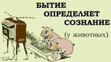 Сознание определяет бытие